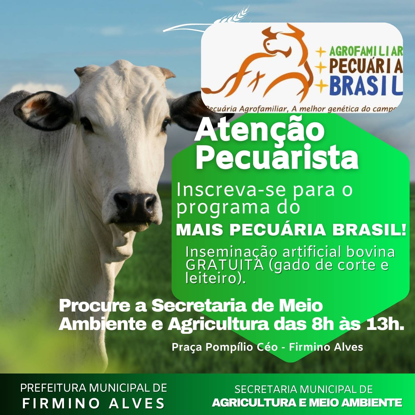 Secretaria de Agricultura e Meio Ambiente de Firmino Alves Oferece Protocolos de Inseminação Artificial em Tempo Fixo